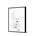 Toile encadré Ours blanc qui marche 65 x 92,5 cm, collection My gallery, Pôdevache
