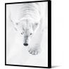 Toile encadré Ours blanc vu du dessus 100 x 140 cm, collection My gallery, Pôdevache