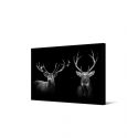 Toile encadré Duo cerf noir et blanc, 50 x 70 cm, collection My gallery, Pôdevache