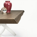Table Sculptura en bois Noyer plaqué 250x106 cm