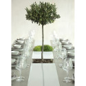 Table Extensible Extrados Large Céramique Gris et Corian blanc 242x332x110 cm